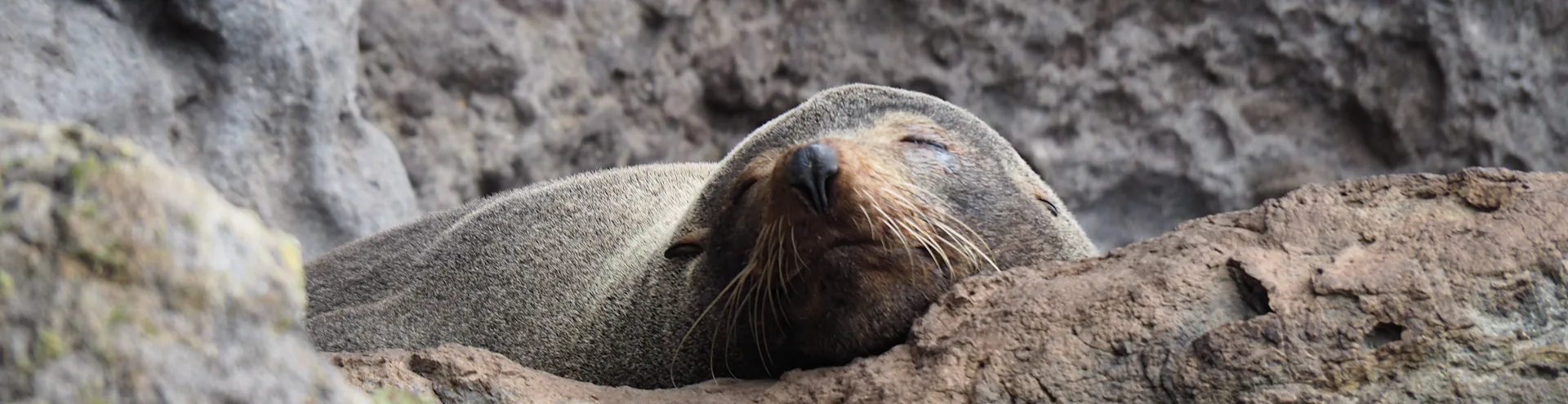 future with deadline