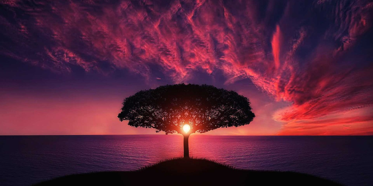 Automatic Testing Brand